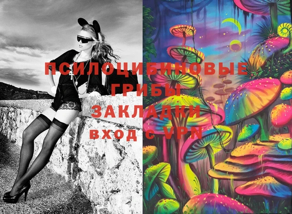 соль ск Алзамай