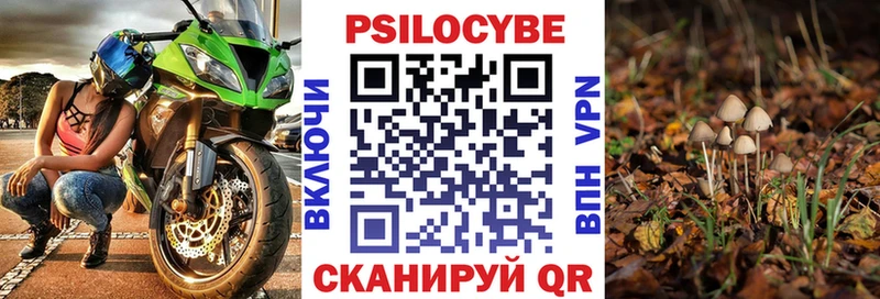 KRAKEN онион  Новоаннинский  Псилоцибиновые грибы Cubensis  купить наркоту 